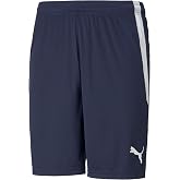 Puma Mens Teamgoal Knit Shorts