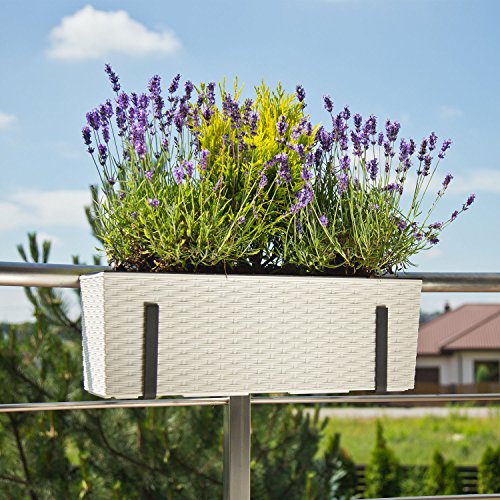 Lamela Blumenkasten Balkonkasten Rattan Optik inkl. Einsatz Mokka Kunststoff L 56 cm Begonia – Bild 5