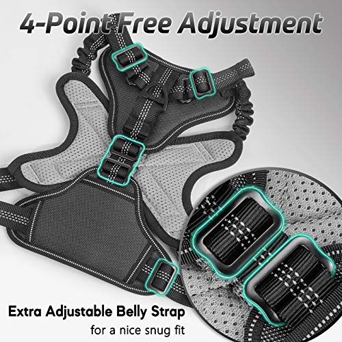 rabbitgoo Dog Harness, No Pull Dog Vest for Large Dogs with Bungee Shoulder Straps, Reflective Dog Walking Harness with… - Image 6