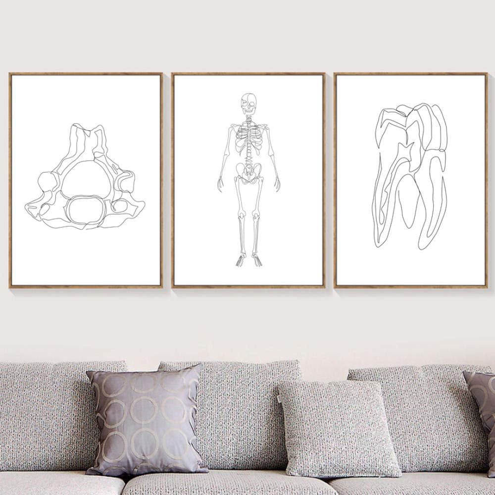Amazon Com Weukuart Line Drawing Human Anatomy Brain Skeleton Wall Art Canvas Painting Nordic Posters And Prints Wall Pictures For Living Room Decor 50x70cmx3 Unframed Posters Prints