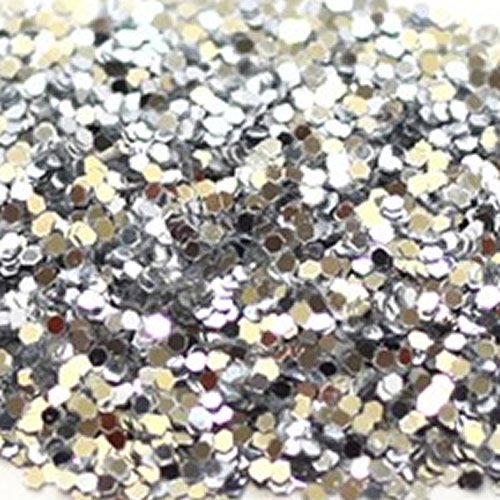 Silver Craft Glitter 100g Bag
