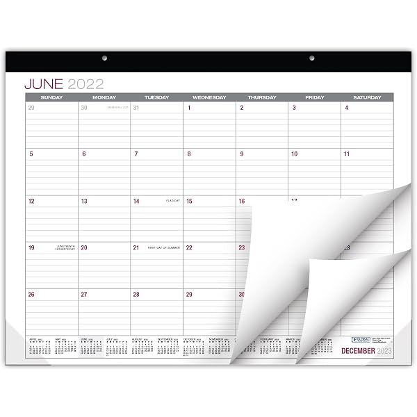 amazon-com-global-printed-products-professional-desk-calendar-2023-large-monthly-pages-22-x17-runs-through-december-2023-pack-of-1-office-products