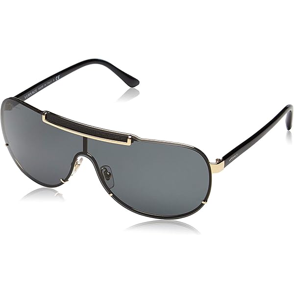 Amazon.com: Rodenstock Sunglasses R1417 Black SunPolarized Grey