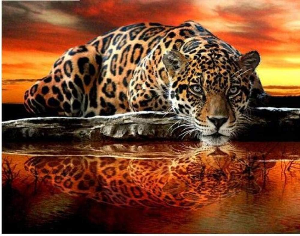 Kecoci 5d Diamond Painting Fierce Leopard Painting Full Round Drill Home Decoration Resin Drill Cross Stitch Christmas Present 50x60cm