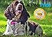PET-PRIDE [New 2018 Model] Bark Collar with Smart Chip - Best Intelligent Dog Anti-Barking Vibrating Collar. No Bark Control for Small/Medium Dogs/Electronic Safe Stop Barking Device