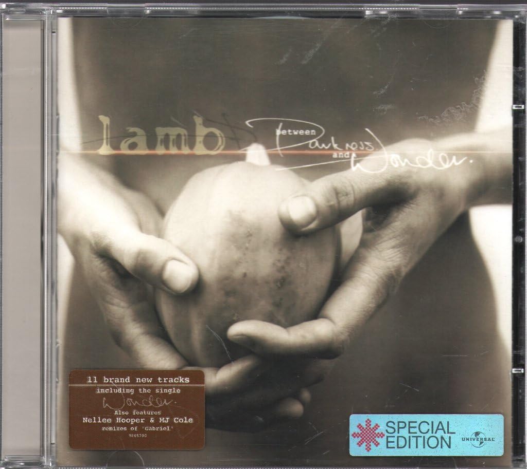 Between Darkness And Wonder