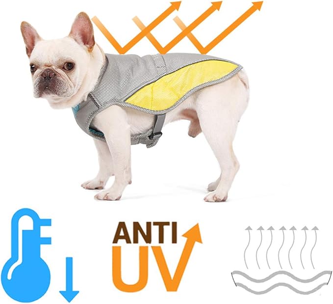 bingpet dog cooling jacket