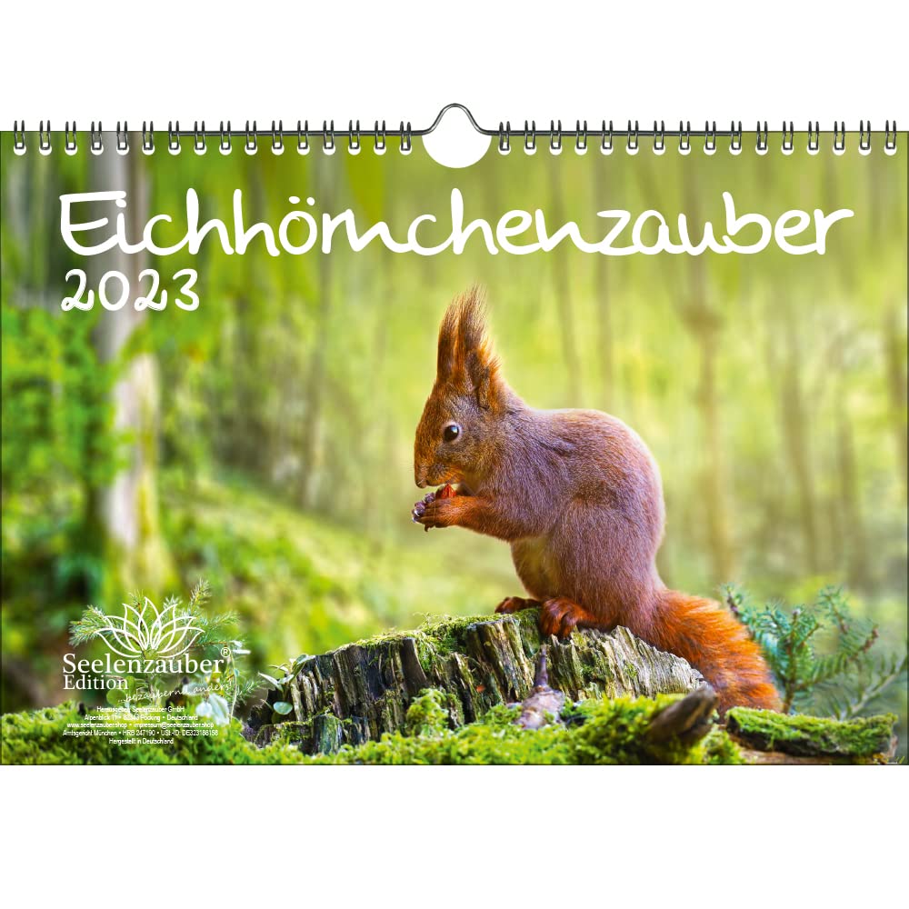 Squirrel Magic DIN A4 Calendar for 2023 Squirrel