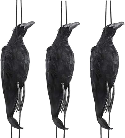 Amazon Co Jp Povkeever カラス ハロウィン装飾カラス 吊り下げ羽毛カラス カラスモデル 置物 カラスよけ 生き生き 雰囲気抜群 手作り いたずらグッズ 部屋 ハロウィン パーティー飾り 黒 三羽セット おもちゃ