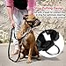 Dog Muzzle, Adjustable Loop with Soft Padding, Nylon Black, (L & XL)