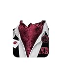 Ailisus Cravat Tie and Lapel Pin Set Mens Burgundy