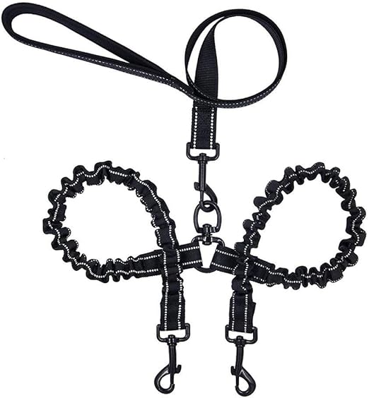 tandem leash for dogs