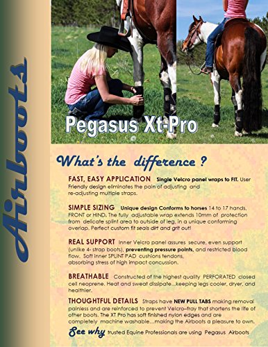 Bluegate Hobby Pegasus Airboots ~ Revolutionary NEW Protective Horse Boots + Carry Bag and Microfiber Mitt. (Introductory) (Red)