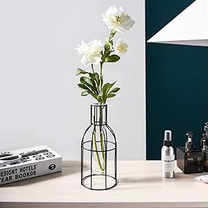 Metal Frame Vase Tube Glass Planter Terrarium with Geometric Black Metal Stand,Office Desktop Home & Office Decor Handmade(Cylinder)