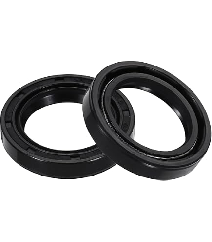 EAI Oil Seal 55mm x 90mm x 10mm TC Double Lip w/Spring. Metal Case