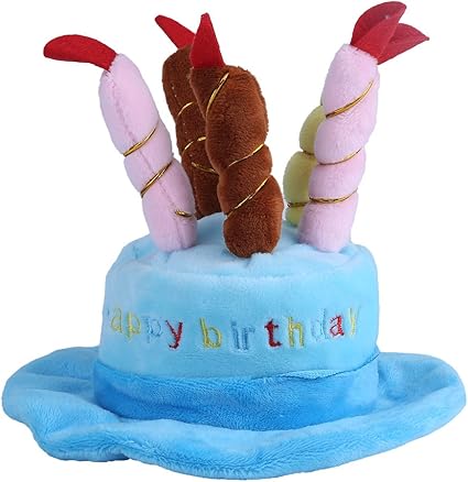 Pasamer Chapeau D Anniversaire Pour Animaux Gateau D Anniversaire Bougies Conception Casquette Pour Animaux De Compagnie Costume Charmes Toilettage Accessoires Pour Chats Chiens Petits Animaux Bleu Amazon Fr Cuisine Maison