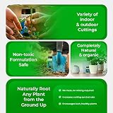 Karrma Natural Rooting Powder 75g for All Plant Cuttings view 4