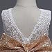 JiaDuo Baby Girl Lace Mesh Tutu Dress Sequin Bow Toddler Princess Gown White 80