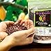 Divine Organics Raw Cacao/Cocoa Nibs - Certified Organic - Premium Rio Arriba - Smoothies, Baking, Snacks, Salads, Trail Mixes - Chocolate Chips Substitute - Rich in Magnesium (32oz)