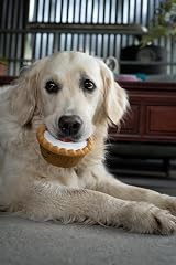 Petface Cherry Bakewell Latex Dog Toy with Built-In Squeaker Pack of 1 view 4