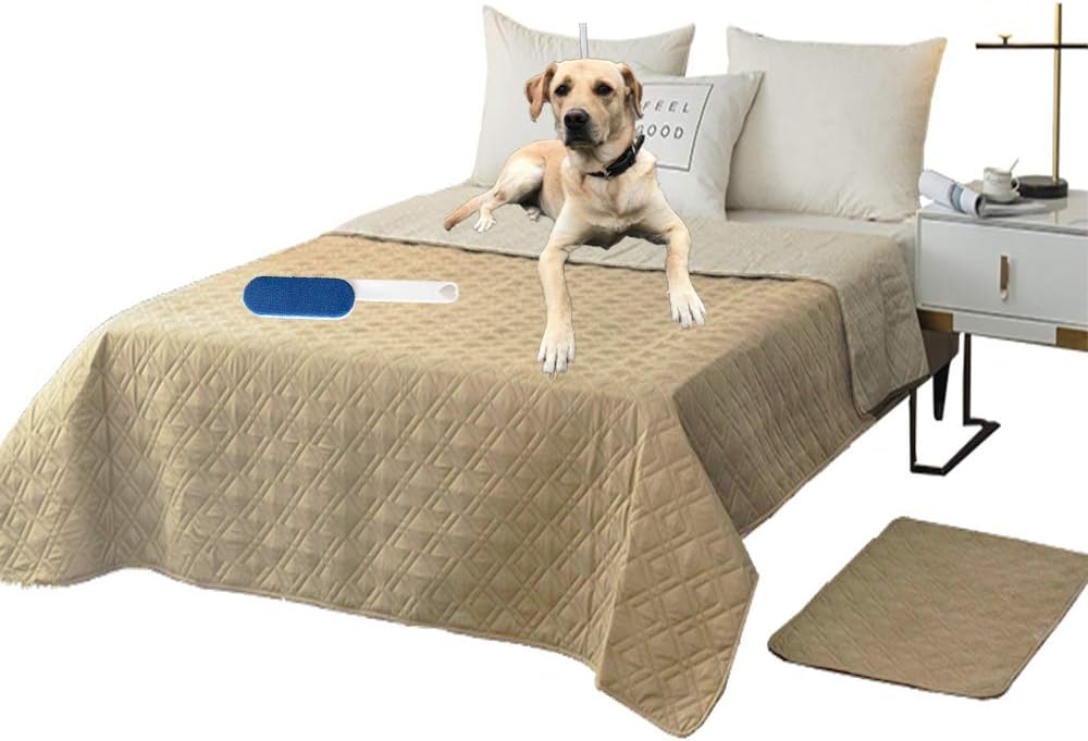 dog incontinence blanket