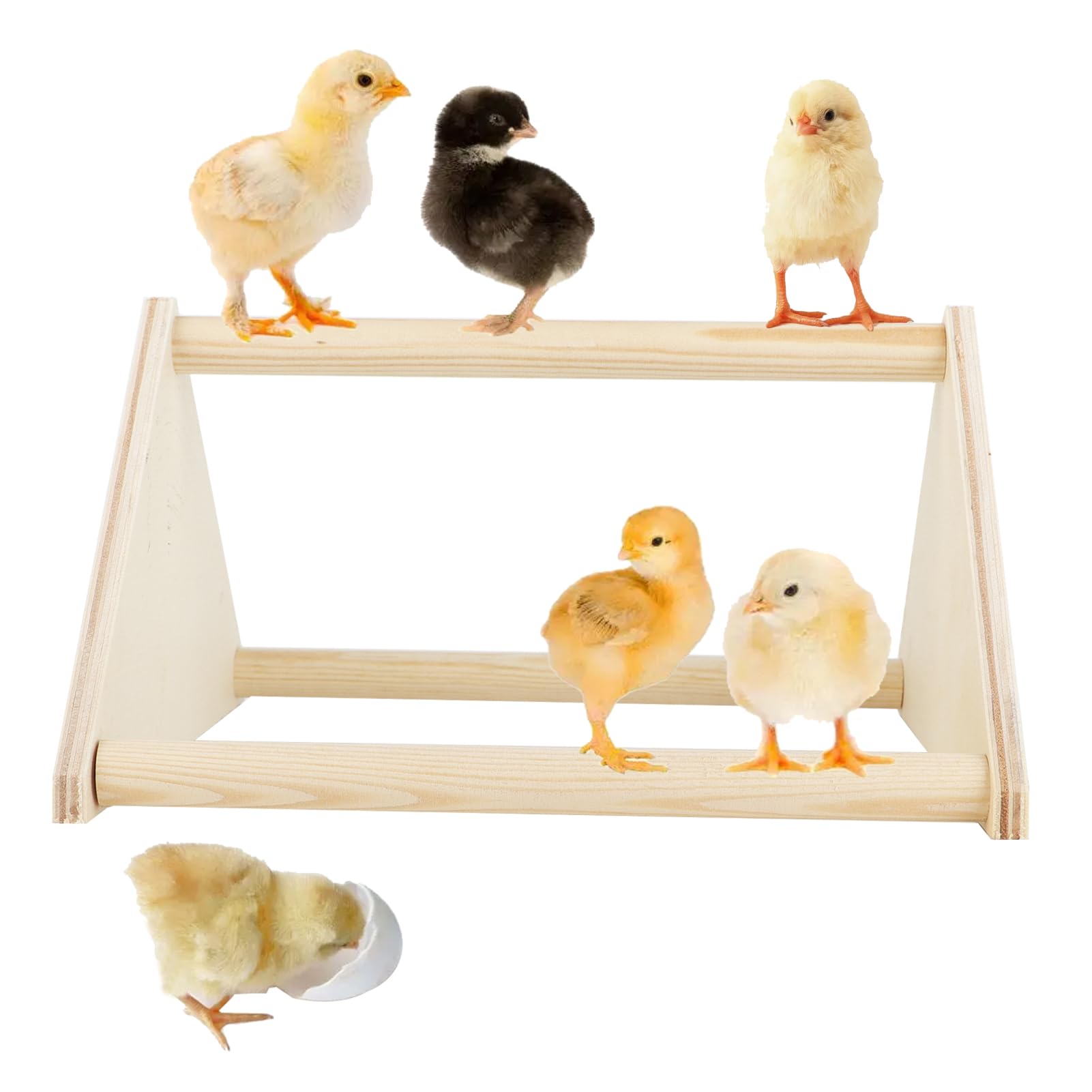 Chicken Perch Wooden Roosting Bar for Coop and Brooder, Triangle Ladder Wood Training Perch for Large Bird Baby Chicks, Parrots, Macaw (Requires Assembling)