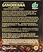 PureGano Ganoderma Coffee Cafe Latte- Reishi Coffee Mix - Instant 3-in-1. 180mg Ganoderma Lucidum Red Reishi Mushroom Extract - Non Dairy Creamer & Sugar Included- 3 Box 30 Sachets