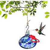 Pozfun Small Hummingbird Feeders for Outdoors Hanging,Hand-Blown Glass Hummingbird Feeder with Silicone Feeding Perch,Never Leak,Gardening Gifts for Woman Man