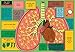 Life on Earth: Human Body