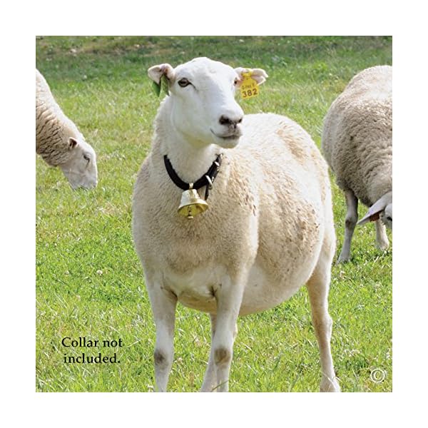 Swiss-Brass-Bell-for-Sheep-Pets-and-Livestock
