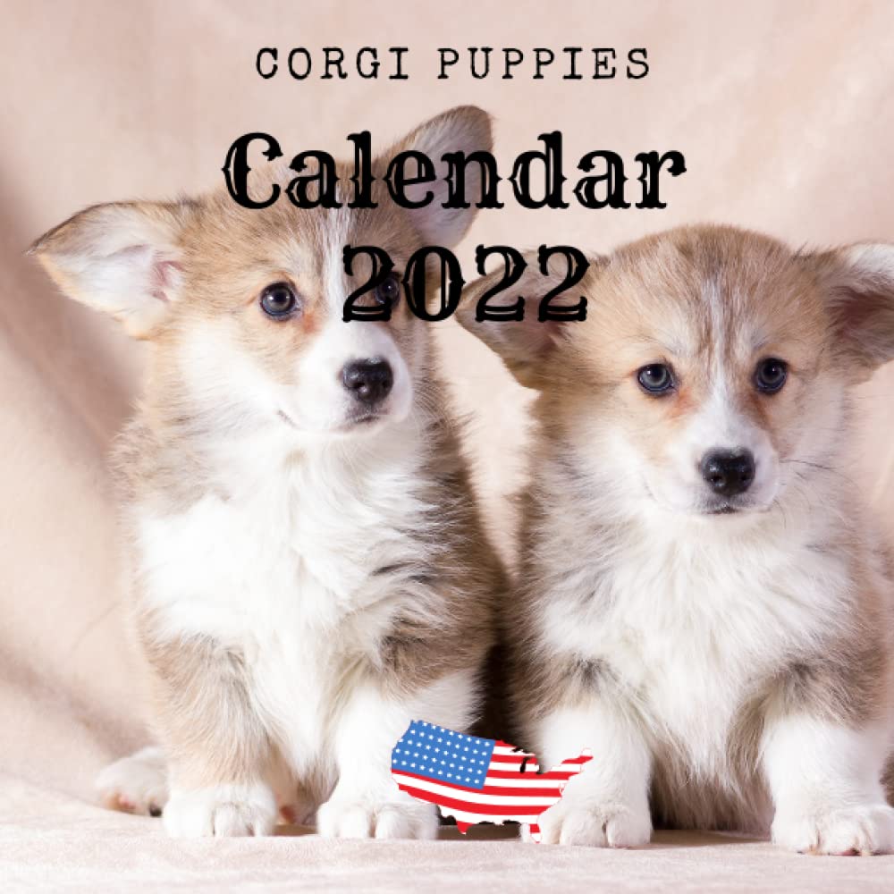 Corgi Puppy Christmas Countdown 2022 Corgi Puppies Calendar 2022: 12-Month Calendar, Cute Gift Idea For Dogs  Lovers Men And Women, Classroom, Home, Office Supplies, With Public  Holidays In Usa, Size 8,5X8,5 Inch: Joel, Doran: 9798760172891: Amazon.com:  Books