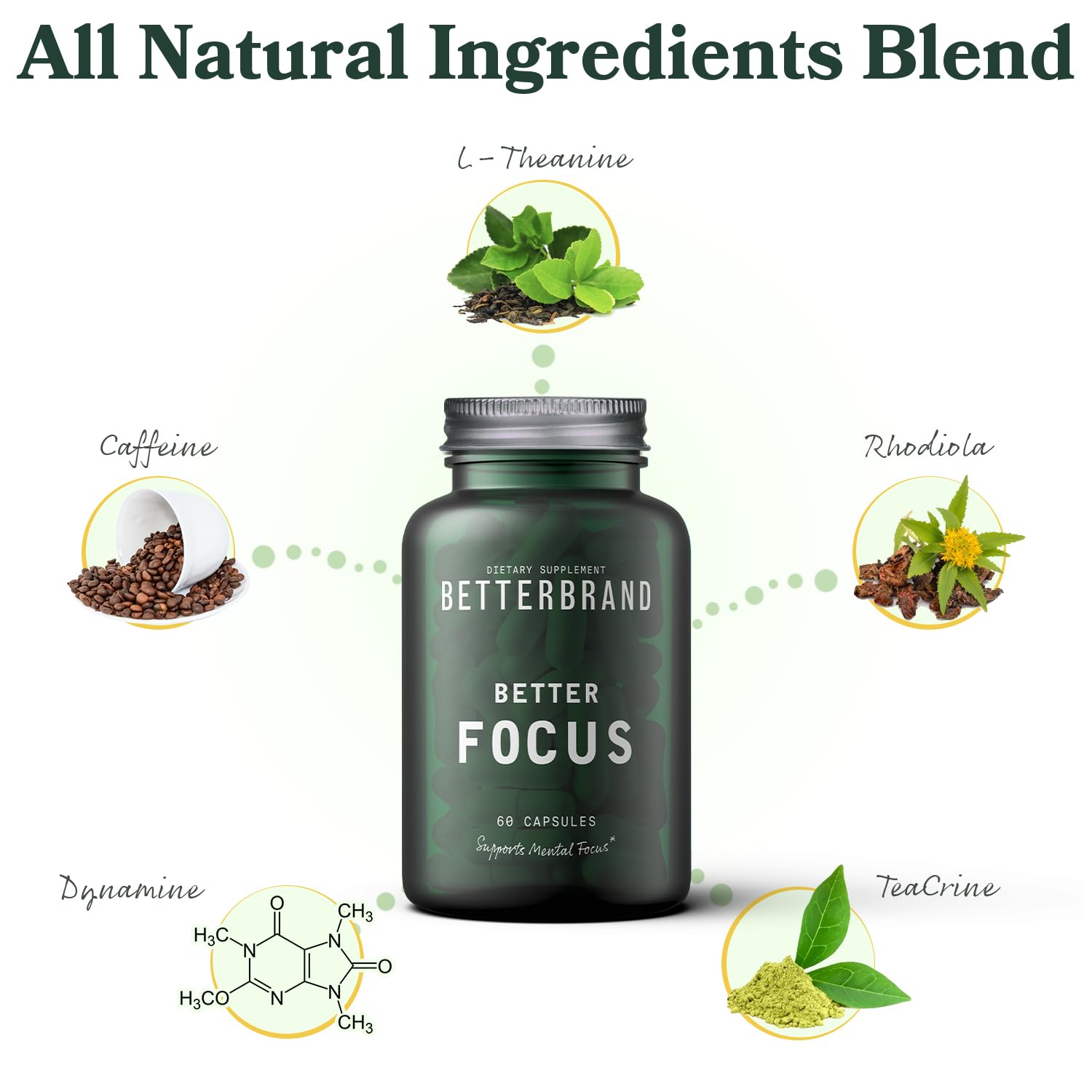 Betterbrand BetterFocus Brain Booster Brain Supplements for Memory and Focus for Mental Clarity. Caffeine, Dynamine, L-Theanine, Rhodiola & TeaCrine (30 Servings)