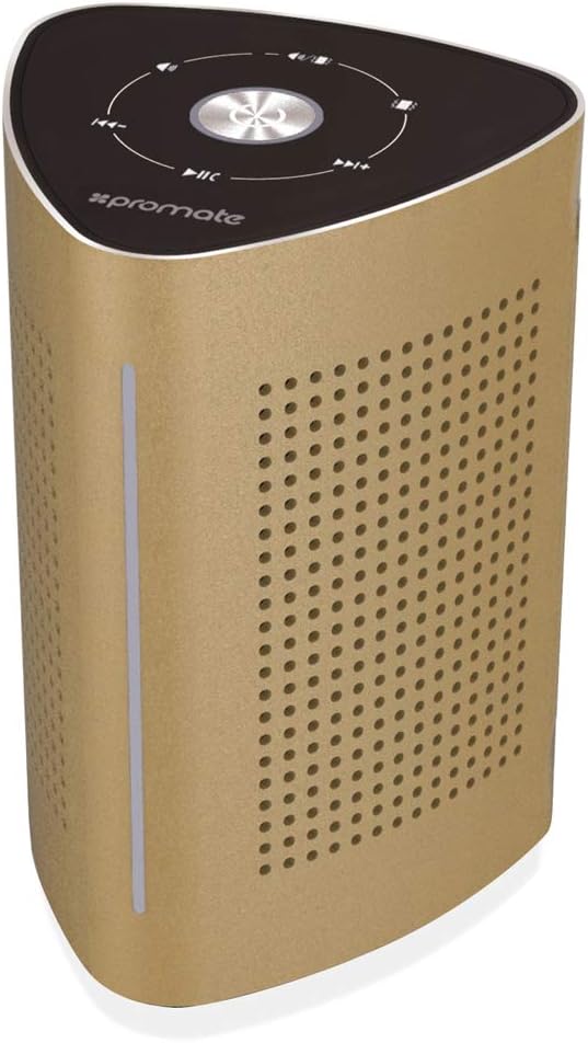 surface vibration speaker