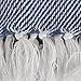 DII Rustic Farmhouse Thin Stripe Woven Throw, 50x60, French Blue
