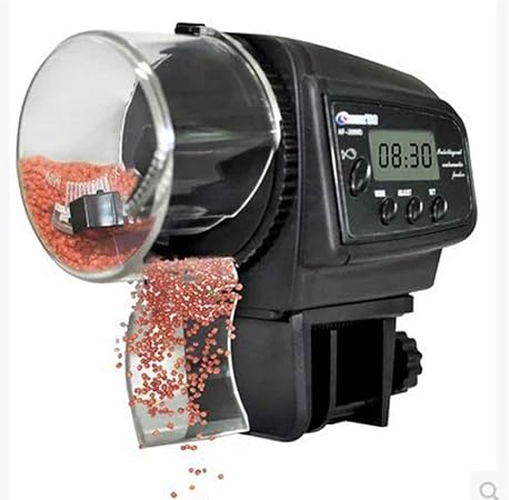 turtle feeder vacation