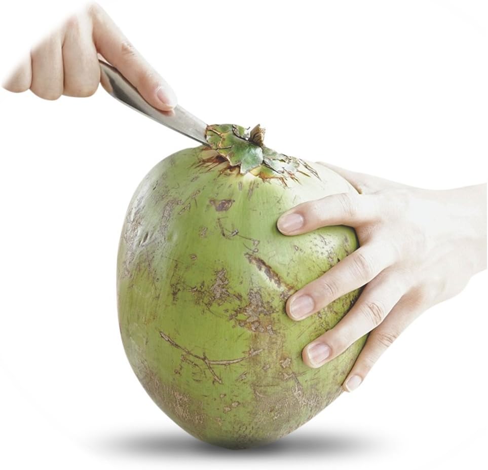 Stord Coconut Opener for Fresh Green Young Coconut Water - Works With Peeled Thai Young White Coconuts - Open in Seconds Super Safe Easy and Fast: Kitchen & Dining