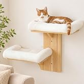 FUKUMARU Cat Wall Shelves, 2 Platform with Soft Cushion Perch | Floating Shelf Kitten Furniture, Solid Rubber Wood Cats Perch For 16 Inch Drywall, Suitable for Climb, Play, Nap