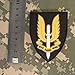 SAS British Special Air Service SFG UK Call of Duty COD PVC 3D Rubber Hook&Loop Patch