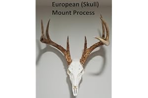 European (Skull) Mount Process