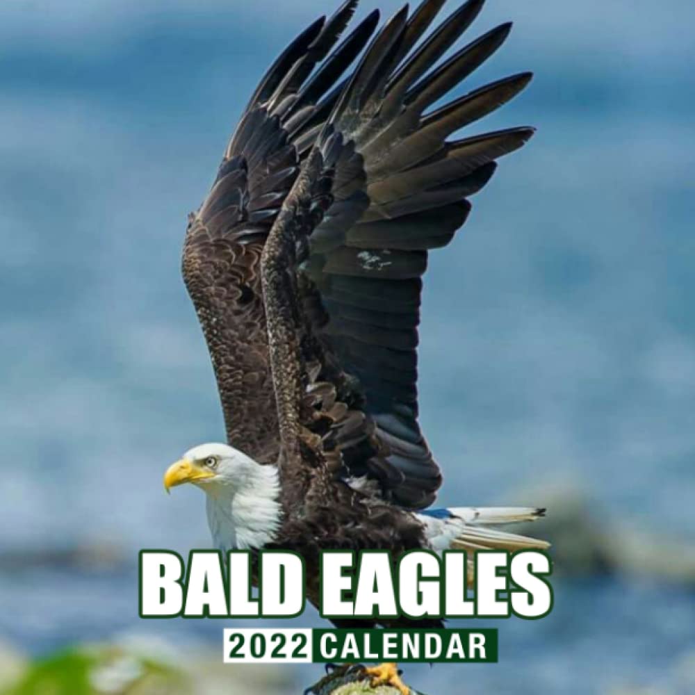 Eagles 2022 Calendar Bald Eagles 2022 Calendar: January 2022 - December 2022 Official Squared  Monthly Calendar, Calendario, Calendrier 12 Months Mini Planner | Bonus 4  Months 2021: Anthony, Berry, Anthony: 9798773608844: Amazon.com: Books