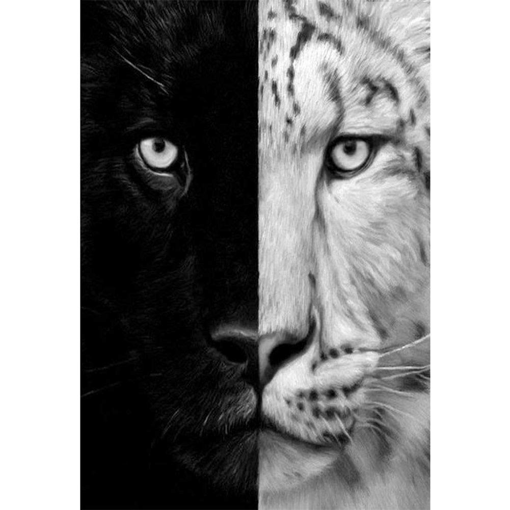 5D Diamond Painting Kits for Adults Diamond Painting by Number Kits Adults Round Drill Arts Craft Wall Decor Black Tiger and White Tiger 11.8x15.7 in by LANSUER