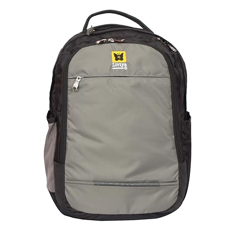 liviya bags amazon