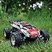 Distianert 1/24 Scale 2WD RC Car, Electric Racing Buggy(RTR) with High Speed of 15 killometer/h, 2.4GHz Radio Controlled Vehicle for Kids and Adults