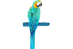 Sweet Feet and Beak Comfort Grip Safety Perch for Bird Cages - Pedicure Perch for Birds to Keep Nails and Beaks in Top Condition - Safe Easy to Install Bird Cage Accessories - L 13"