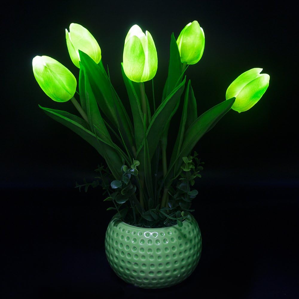 Beautiful Tulip Night Light, LED Flower Night Light 5 Bloom Tulips, Advanced Simulation Artificial Flower Bonsai with LED Lighting (Beautiful Green)