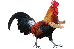 YUKEI Chicken Arms for Hens – Fun, Durable, Artificial Muscle Arms Toy – Perfect for Parties, Photoshoots and Pranks