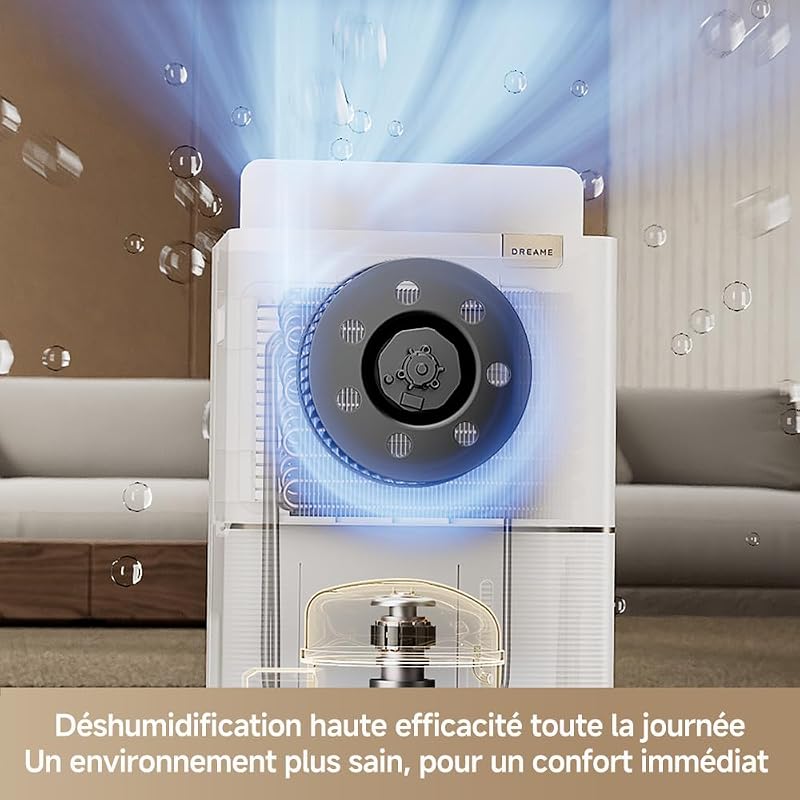 DD20 Déshumidificateur, déshumidification haute efficacité 20 L/jour