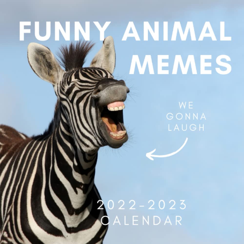 Amazon Com Funny Animal Memes 2022 2023 Calendar January 2022 To June 2023 Dog Cat Monkey Owls Kangeroo Memes Photo Mini Calendar 2022 2023 8 5 X 8 5 Present For