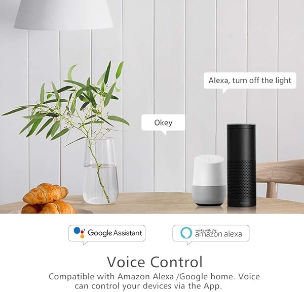 eMylo Smart Switch Zigbee Light Switch Zigbee Receptor de Mdulo de control remoto Temporizadores de automatizacin del hogar Compatible con Alexa Google Control Home iPhone Android App 2 unidades