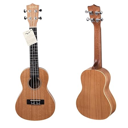 Rayzm Konzert Ukulele, Einsteiger 23 Zoll Ukulele mit Original Aquila Nylon Saiten, Satin Matt-Finish, schöner ABS Bindung, 0